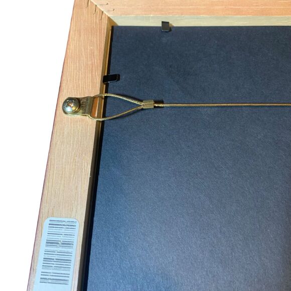 Southern Illinois University Carbondale Official Diploma Frame - Picture 12 of 12